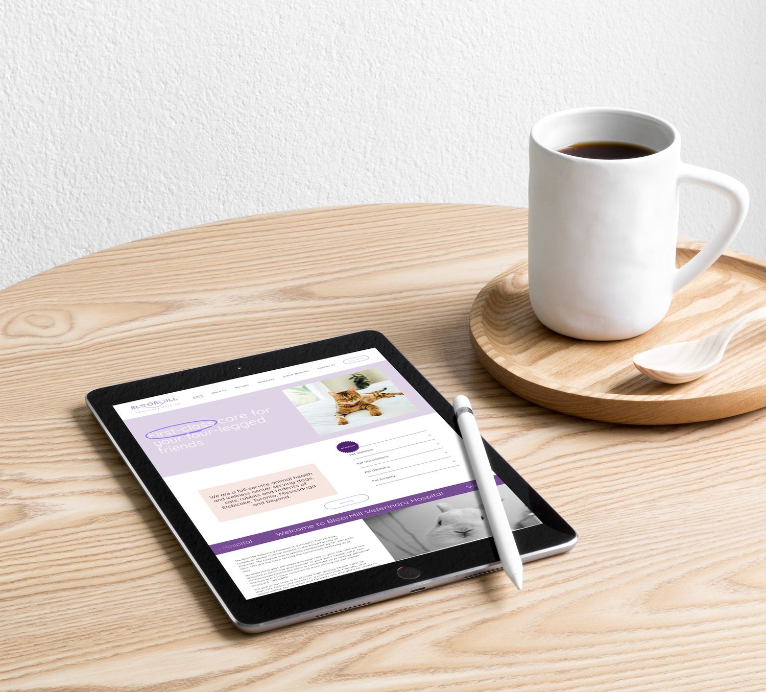 Web Design